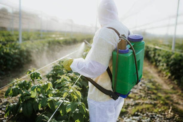 Best Local Pest Control Services  in Eagle, NE